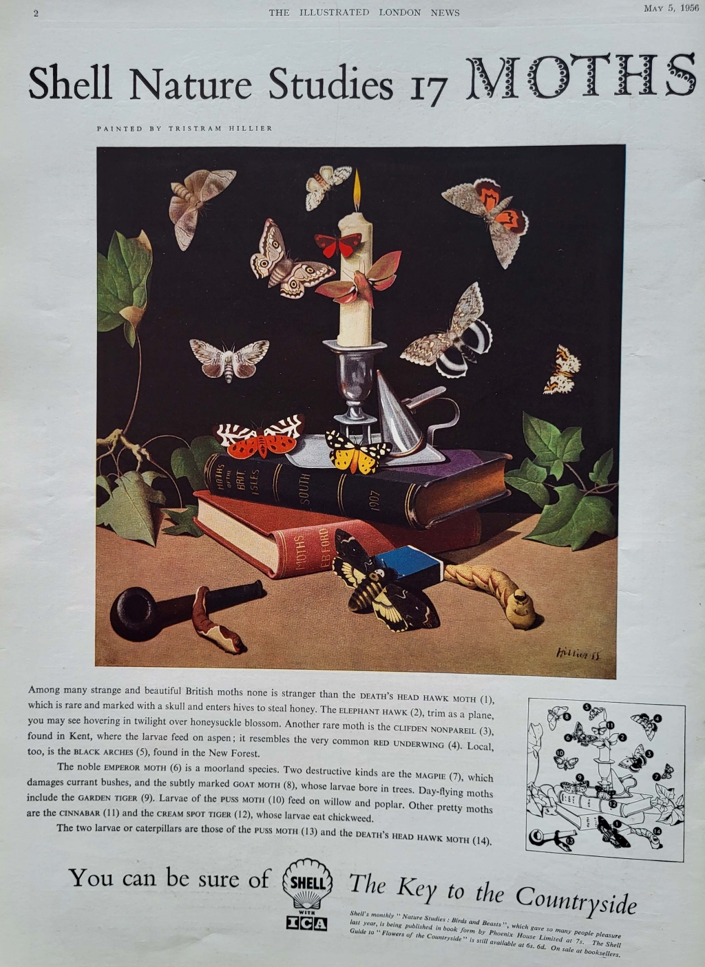 shell advert moths